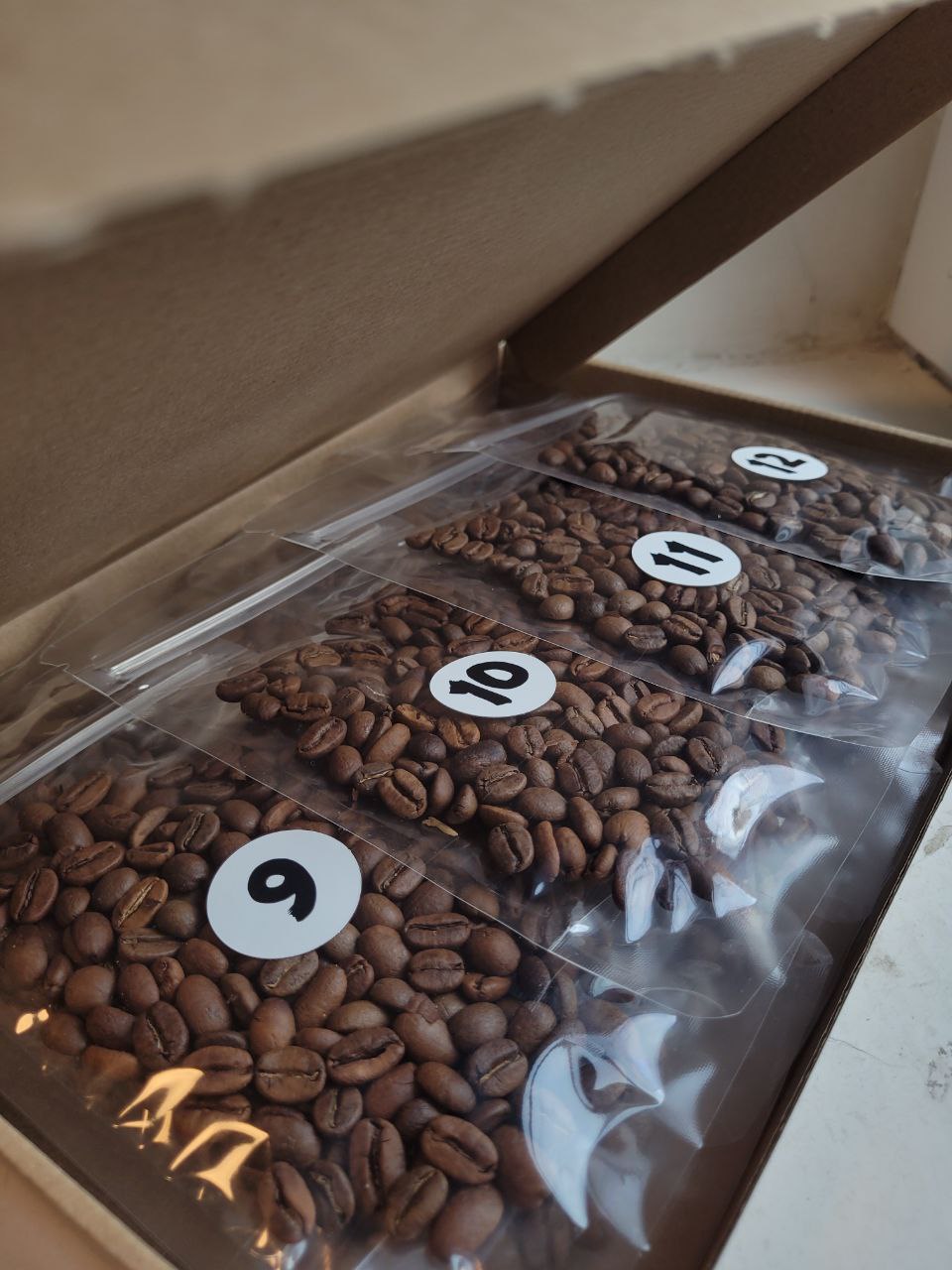 Roasters Challenge 2025 Tasting Set (12 x 30g)